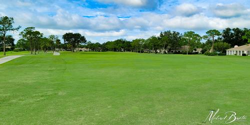 golf article